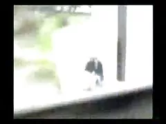 Una chica se sienta en la videos de tríos mexicanos cocina.